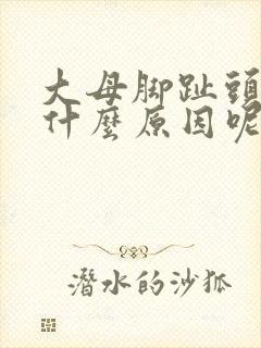 大母脚趾头疼是什么原因呢