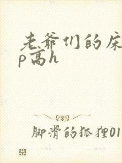 老爷们的床奴np高h