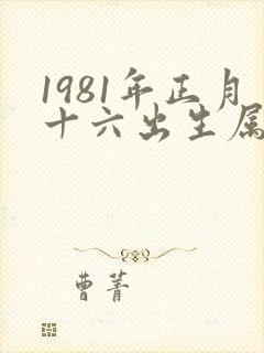 1981年正月十六出生属鸡的命运