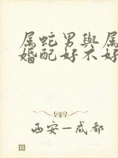 属蛇男与属龙女婚配好不好