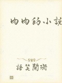 肉肉的小说