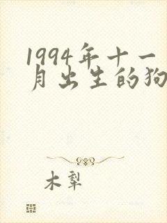 1994年十一月出生的狗命运如何