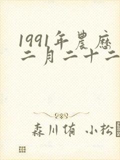 1991年农历二月二十二是什么命