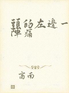 头的左边一阵一阵痛封面