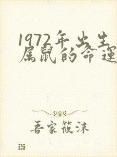 1972年出生属鼠的命运怎样封面