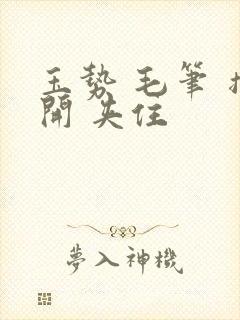 玉势 毛笔 撑开 夹住