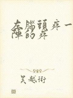 左脑头疼一阵一阵的疼封面