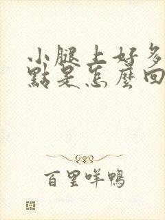 小腿上好多红点点是怎么回事封面