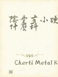 阴囊有小硬疣挂什么科封面