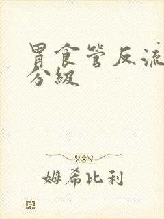 胃食管反流症状分级