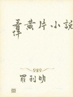 看黄片小说的软件