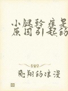 小腿干痒是什么原因引起的