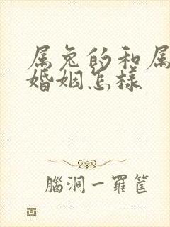 属兔的和属牛的婚姻怎样