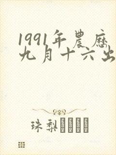 1991年农历九月十六出生羊的命运