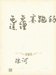 龟兔赛跑的寓言道理封面