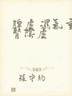 脾虚 湿气重 肾阴虚