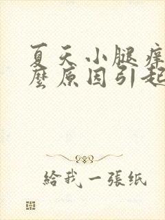 夏天小腿痒是什么原因引起的