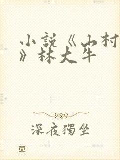 小说《山村情事》林大牛封面