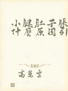 小腿肚子胀痛是什么原因引起的