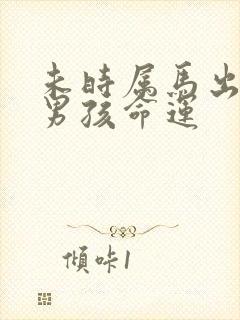 未时属马出生的男孩命运