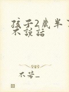 孩子2岁半了还不说话封面