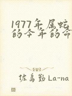 1977年属蛇的今年的命运如何