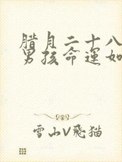 腊月二十八生的男孩命运如何