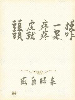 头皮疼一摸头发头就疼是咋回事