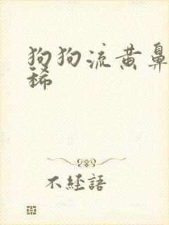 狗狗流黄鼻涕拉稀封面