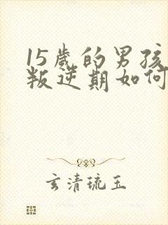 15岁的男孩子叛逆期如何去管教