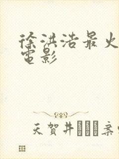 徐洪浩最火十部电影