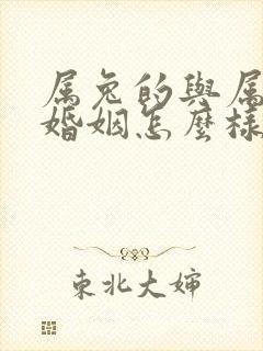 属兔的与属羊的婚姻怎么样