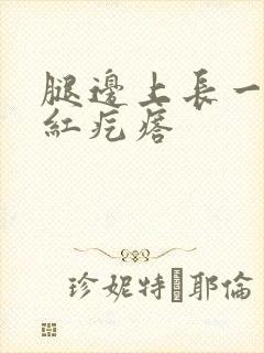 腿边上长一片小红疙瘩