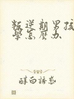 叛逆期男孩子厌学怎么办封面