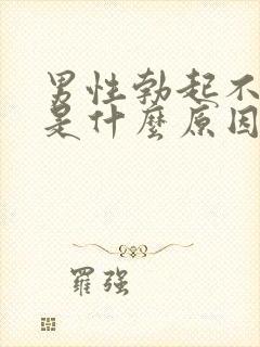 男性勃起不坚硬是什么原因