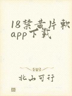 18禁黄片软件app下载