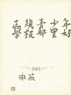 正规青少年叛逆学校哪里好封面