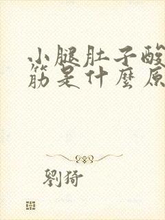 小腿肚子酸胀抽筋是什么原因