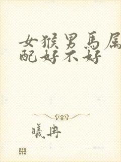 女猴男马属相婚配好不好封面