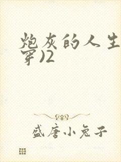 炮灰的人生(快穿)2