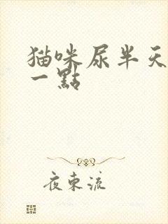 猫咪尿半天只尿一点