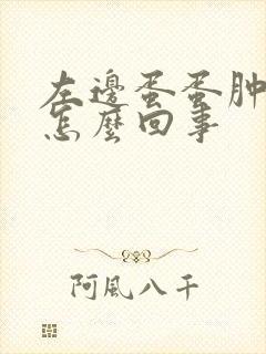 左边蛋蛋肿疼是怎么回事封面