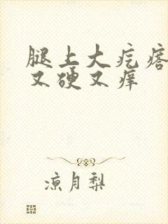 腿上大疙瘩又红又硬又痒