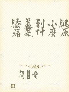 膝盖到小腿骨头痛是什么原因