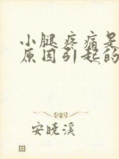 小腿疼痛是什么原因引起的吗