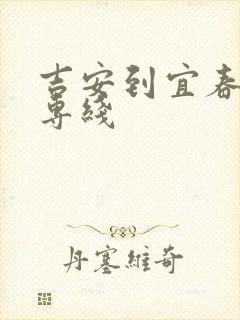 吉安到宜春物流专线