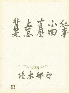 背上有小红疙瘩是怎么回事封面