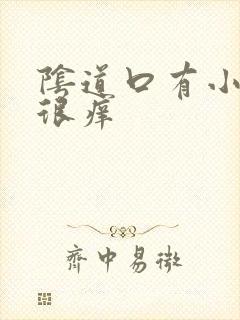 阴道口有小肉粒很痒封面