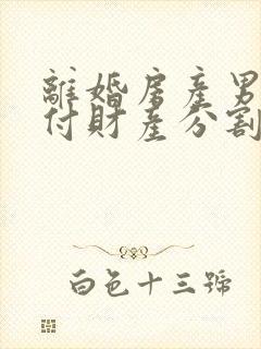 离婚房产男方首付财产分割封面