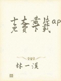 十大黄片app免费下载